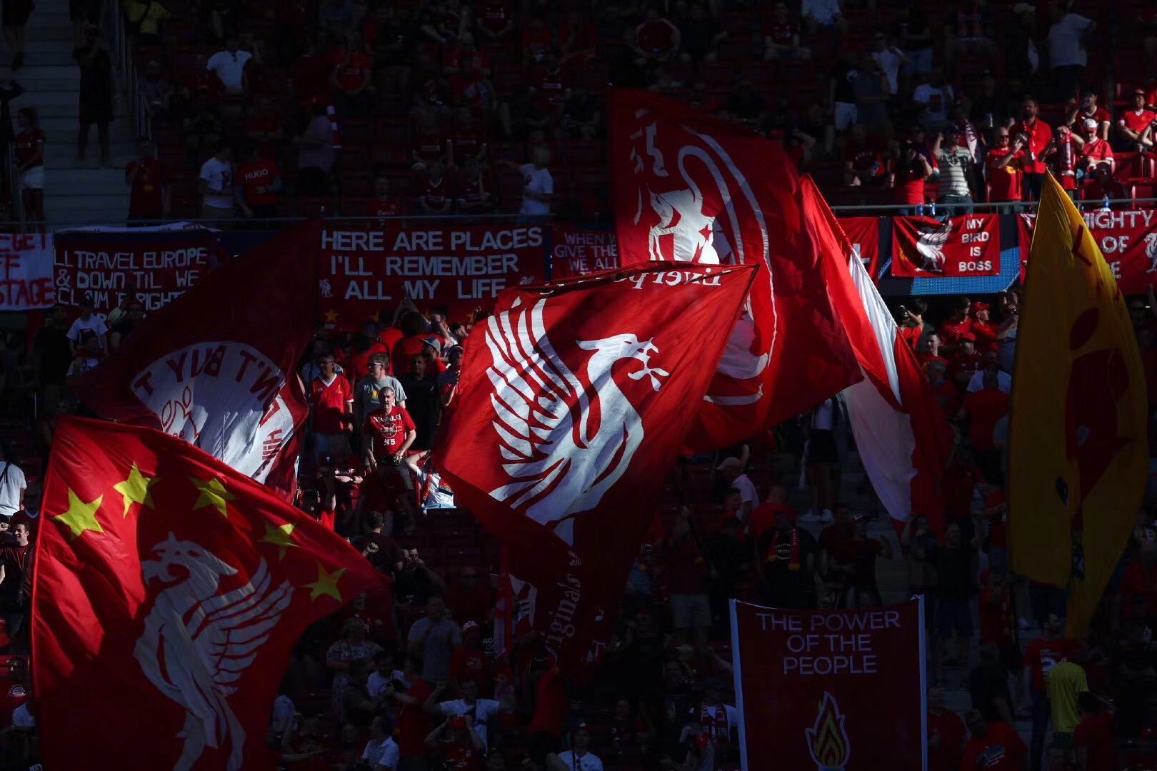 德甲半场：特雷破门，佩奇诺维奇扳平，沃尔夫斯堡1-1弗赖堡（德甲半场战报：特雷先拔头筹，佩奇诺维奇扳平，沃尔夫斯堡1-1弗赖堡）